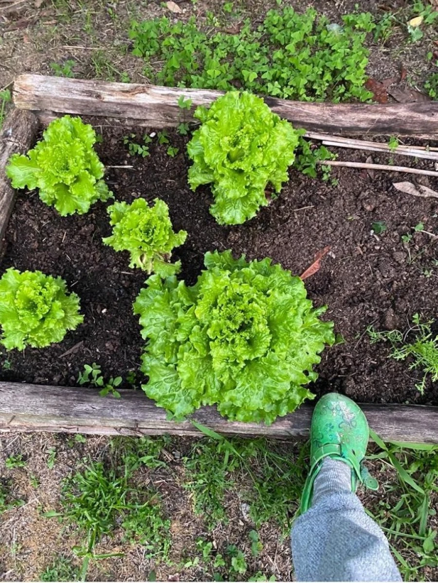 Moradia T2 para Venda em Sardoal Foto 22