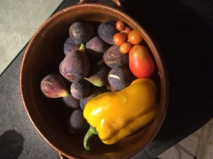 Moradia T2 para Venda em Sardoal Foto 24