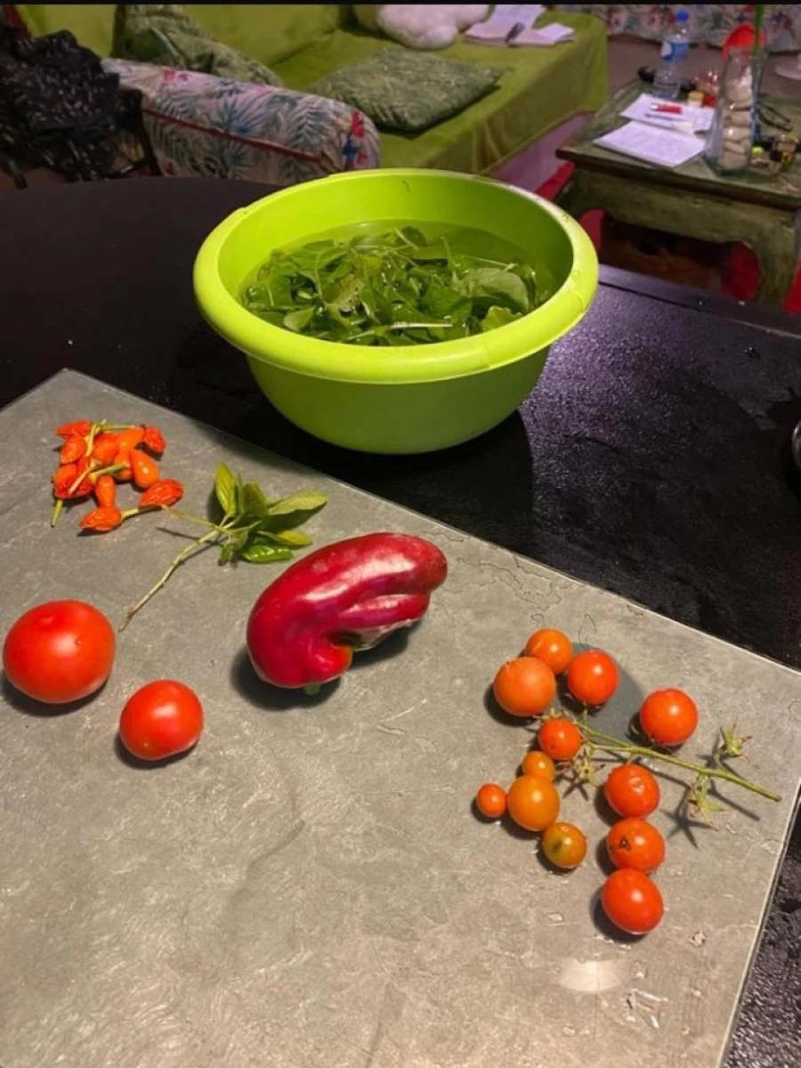 Moradia T2 para Venda em Sardoal Foto 27