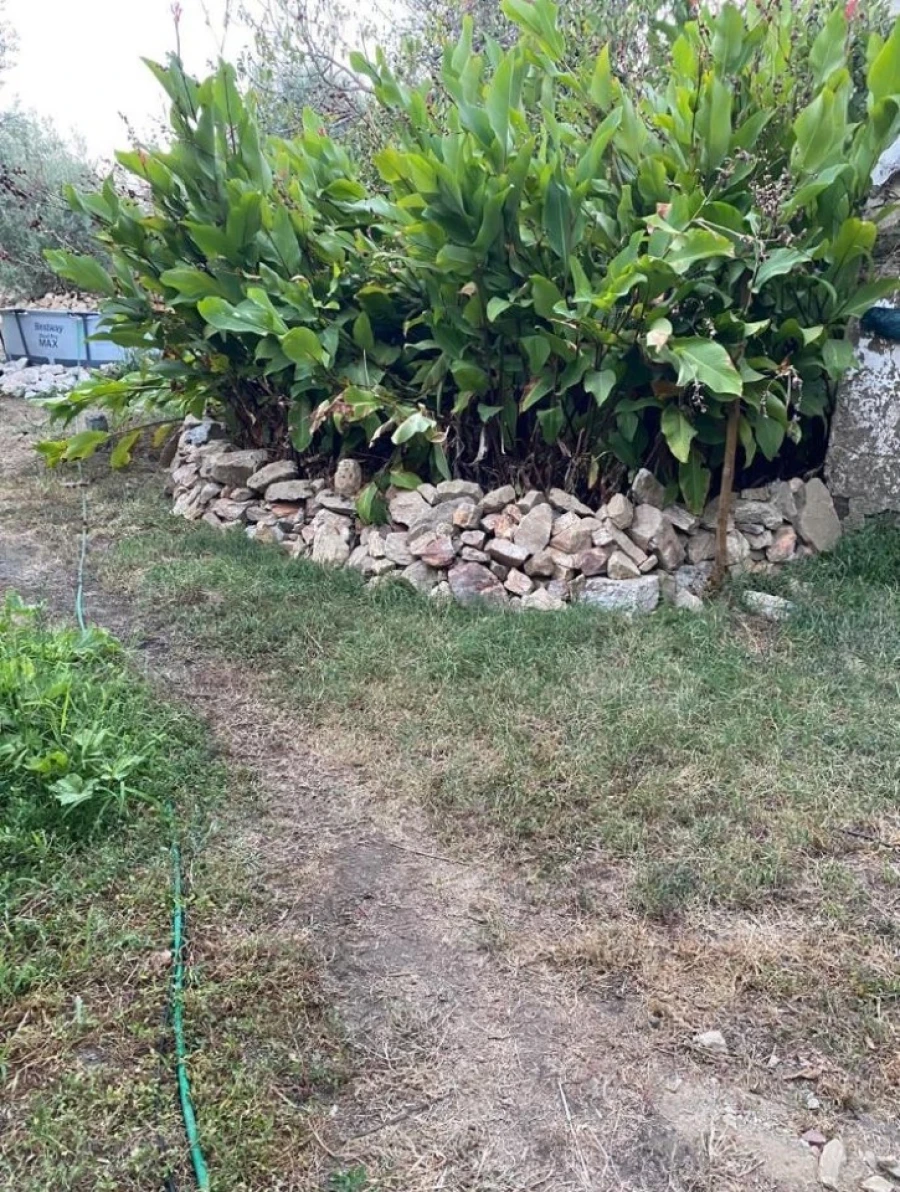 Moradia T2 para Venda em Sardoal Foto 29