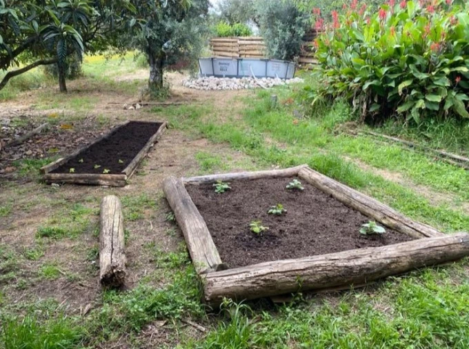 Moradia T2 para Venda em Sardoal Foto 33