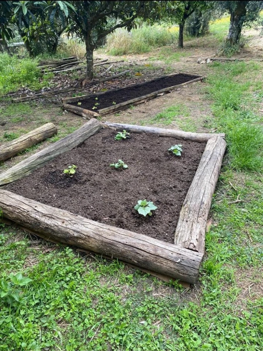 Moradia T2 para Venda em Sardoal Foto 40