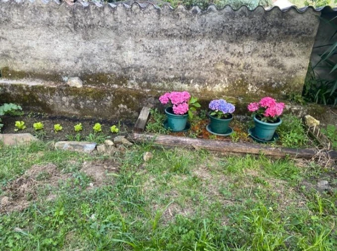 Moradia T2 para Venda em Sardoal Foto 43