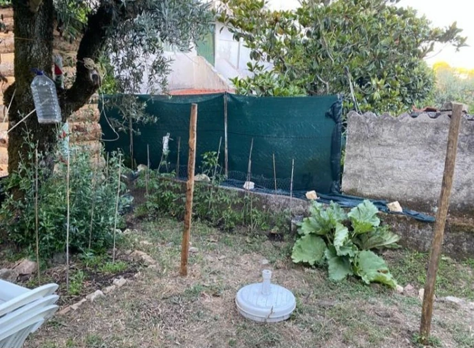 Moradia T2 para Venda em Sardoal Foto 46