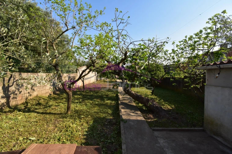 Moradia T3 para Venda em Atalaia Foto 39