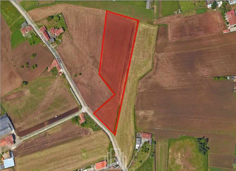 Terreno Agricola ou Rústico para Venda em Valega Foto 1