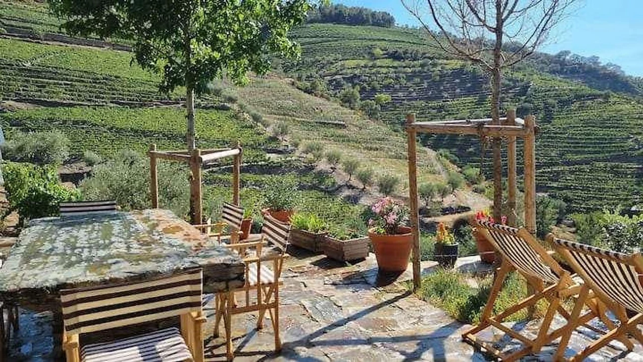 Quinta T3 para Venda em Valença do Douro Foto 3