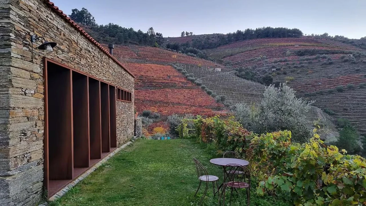 Quinta T3 para Venda em Valença do Douro Foto 16