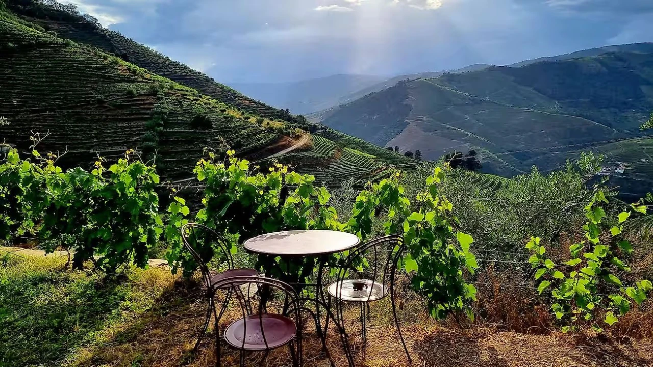 Quinta T3 para Venda em Valença do Douro Foto 30