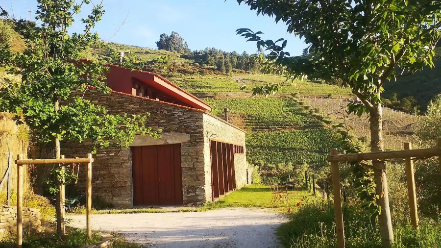 Quinta T3 para Venda em Valença do Douro Foto 28