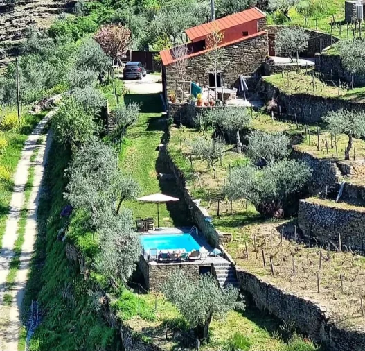 Quinta T3 para Venda em Valença do Douro Foto 20