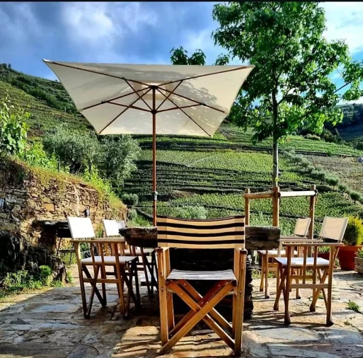 Quinta T3 para Venda em Valença do Douro Foto 25