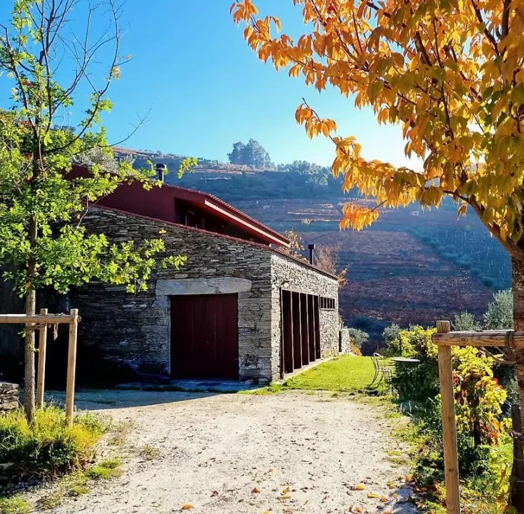 Quinta T3 para Venda em Valença do Douro Foto 29