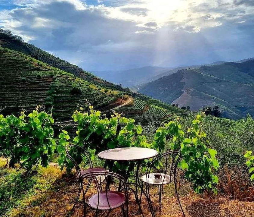 Quinta T3 para Venda em Valença do Douro Foto 1