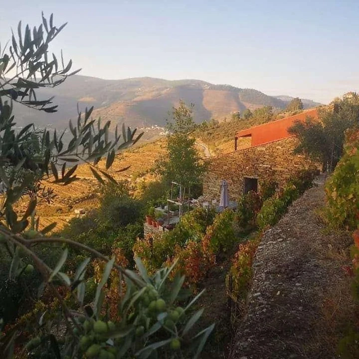 Quinta T3 para Venda em Valença do Douro Foto 13