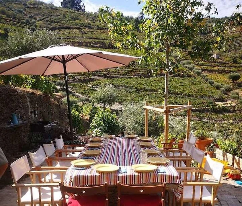 Quinta T3 para Venda em Valença do Douro Foto 4