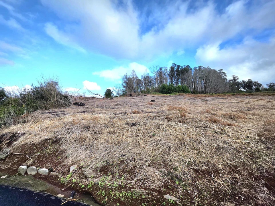 Terreno Agricola ou Rústico para Venda em Porto Moniz Foto 11