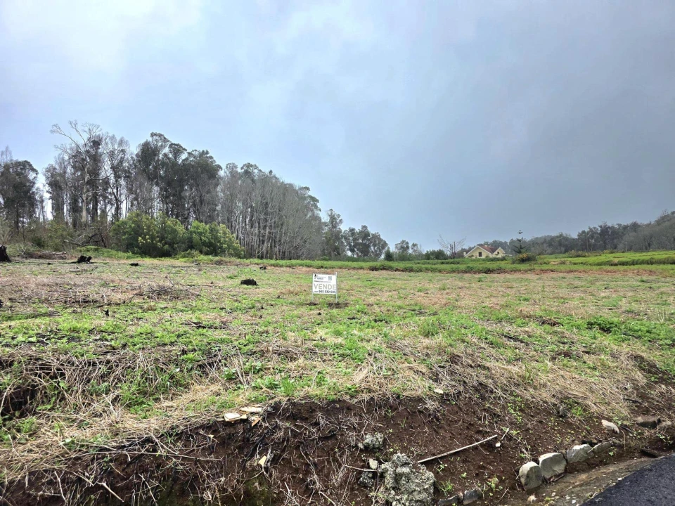 Terreno Agricola ou Rústico para Venda em Porto Moniz Foto 5