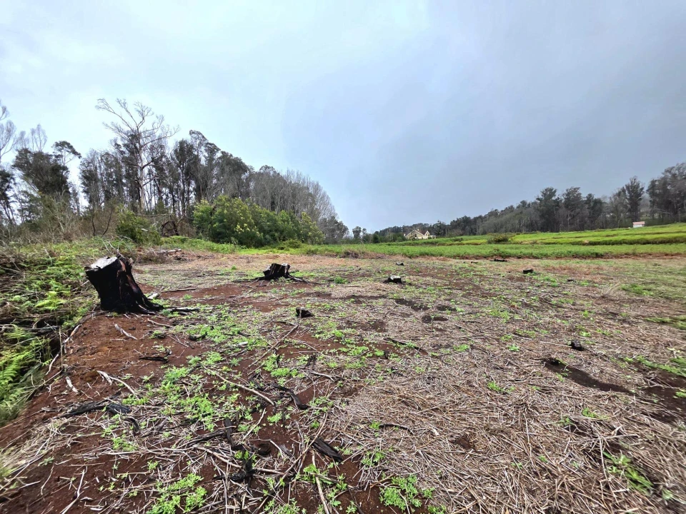 Terreno Agricola ou Rústico para Venda em Porto Moniz Foto 8