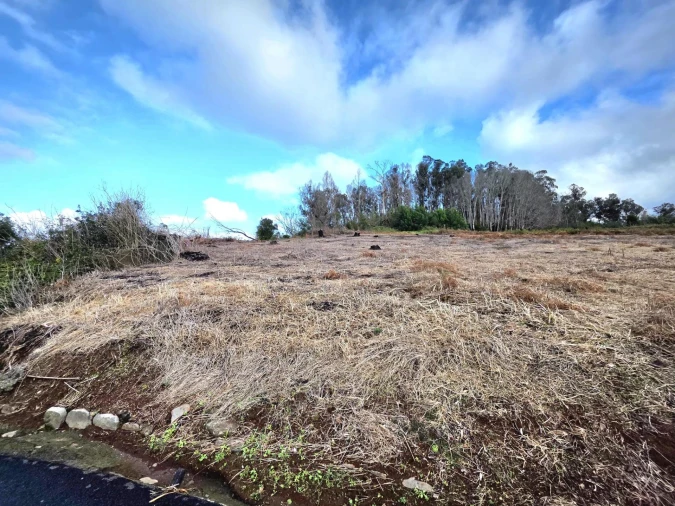 Terreno Agricola ou Rústico para Venda em Porto Moniz Foto 11