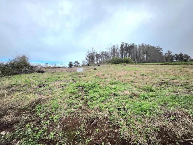Terreno Agricola ou Rústico para Venda em Porto Moniz Foto 2