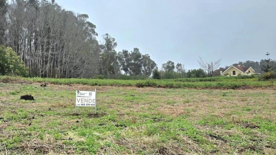 Terreno Agricola ou Rústico para Venda em Porto Moniz