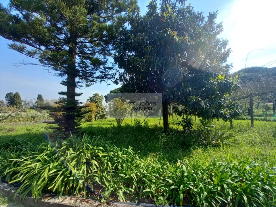 Quinta T8 para Venda em Eixo e Eirol Foto 8