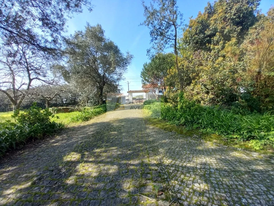 Quinta T8 para Venda em Eixo e Eirol Foto 11