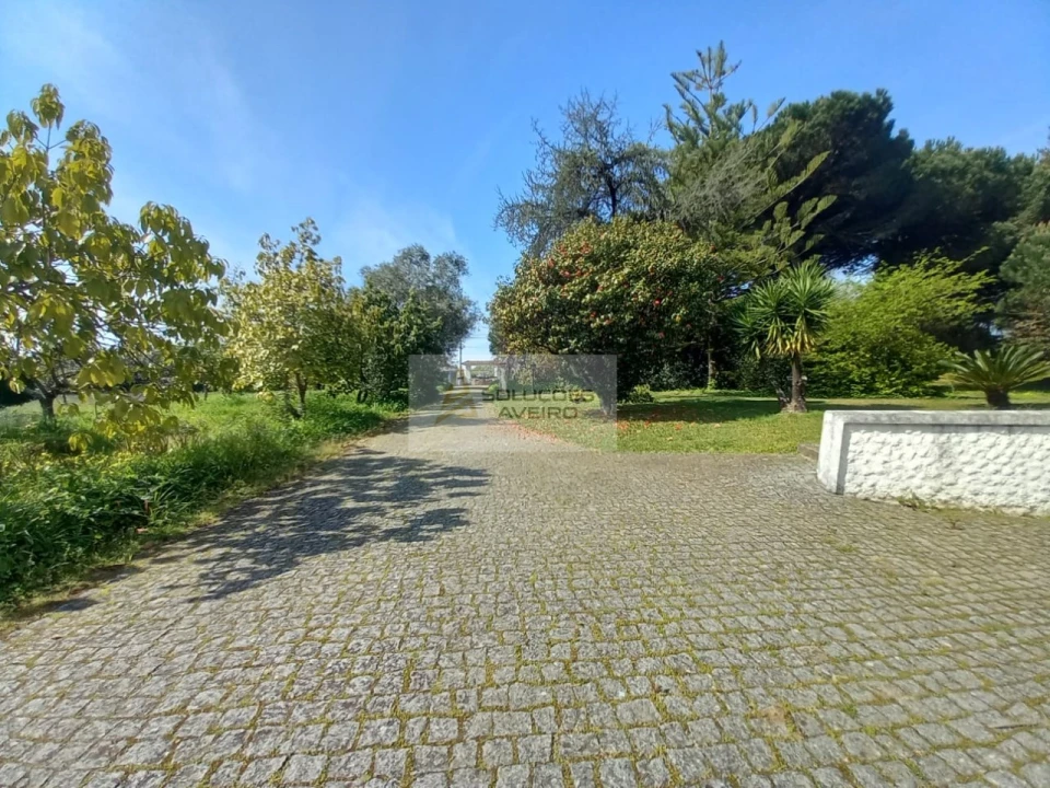 Quinta T8 para Venda em Eixo e Eirol Foto 56