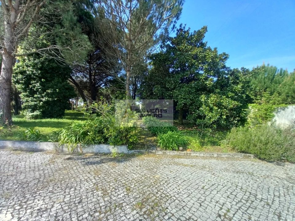 Quinta T8 para Venda em Eixo e Eirol Foto 72