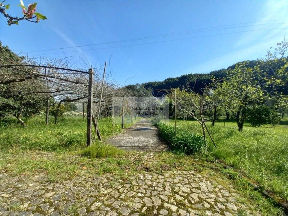 Quinta T8 para Venda em Eixo e Eirol Foto 77