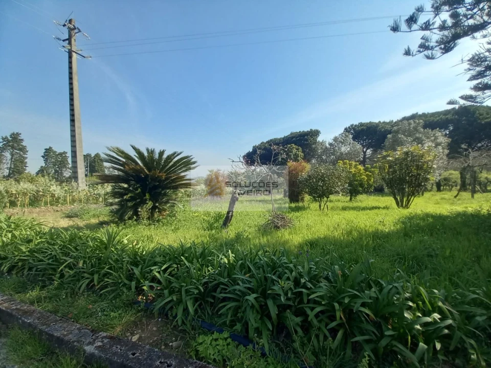 Quinta T8 para Venda em Eixo e Eirol Foto 92