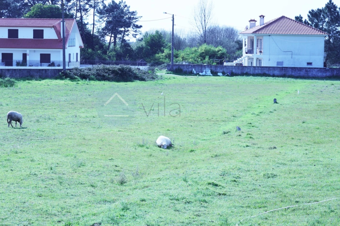 Moradia T4 para Venda em Chafe Foto 83