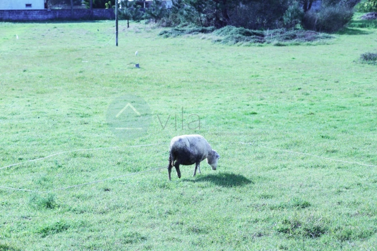 Moradia T4 para Venda em Chafe Foto 84