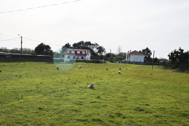 Moradia T4 para Venda em Chafe Foto 80