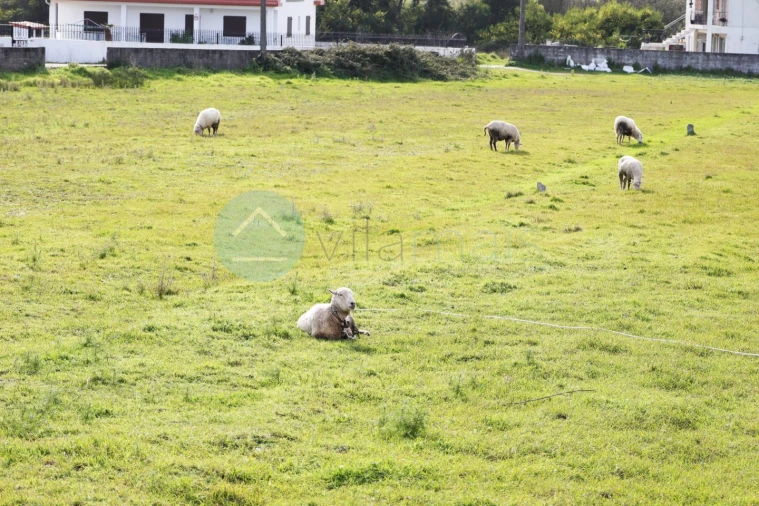 Moradia T4 para Venda em Chafe Foto 82