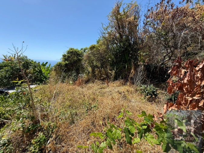 Moradia T3 para Venda em Arco da Calheta Foto 7