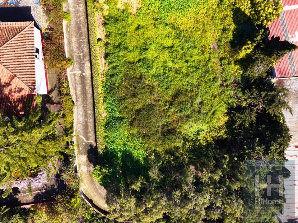 Terreno para Venda em São Martinho Foto 14