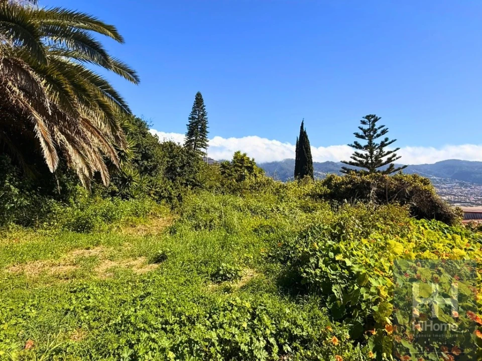 Terreno para Venda em São Martinho Foto 3