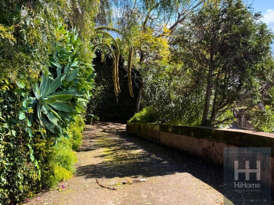 Terreno para Venda em São Martinho Foto 7