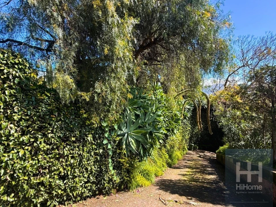 Terreno para Venda em São Martinho Foto 8