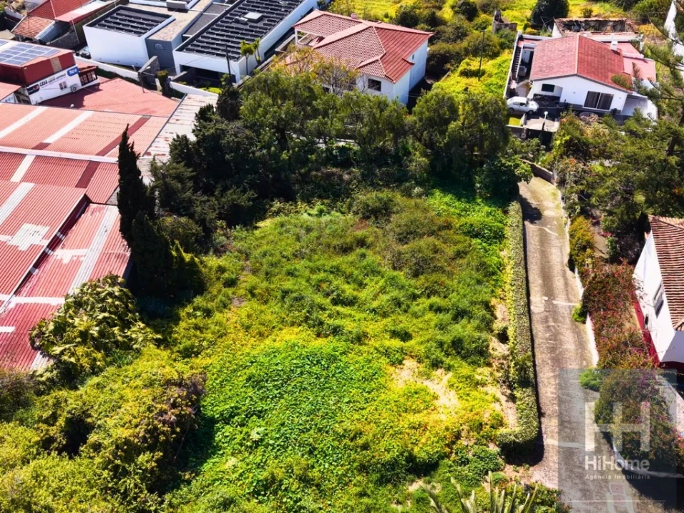 Terreno para Venda em São Martinho Foto 11