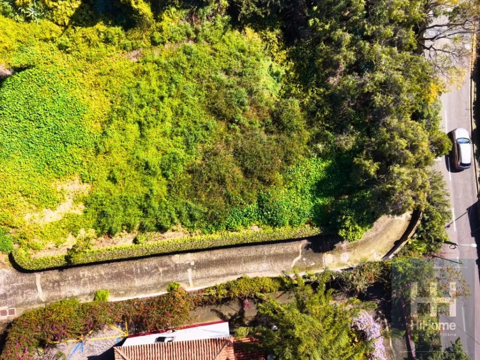 Terreno para Venda em São Martinho Foto 12