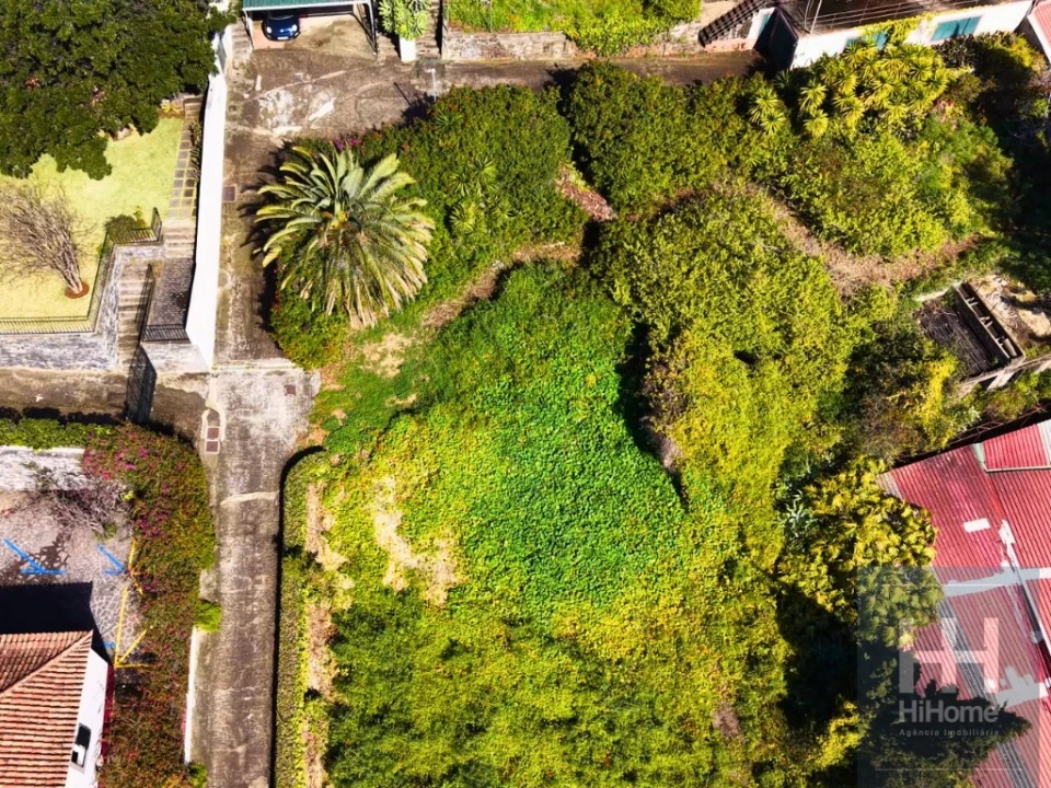 Terreno para Venda em São Martinho Foto 13