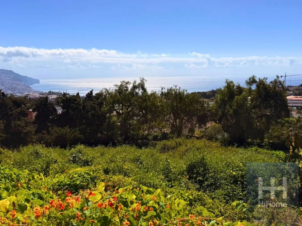 Terreno para Venda em São Martinho Foto 1