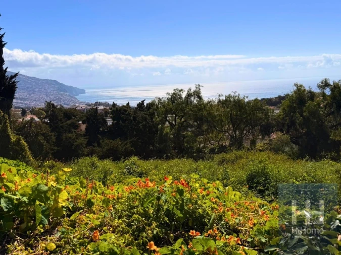 Terreno para Venda em São Martinho Foto 4