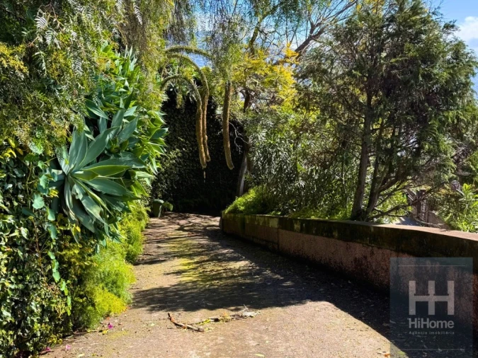 Terreno para Venda em São Martinho Foto 7
