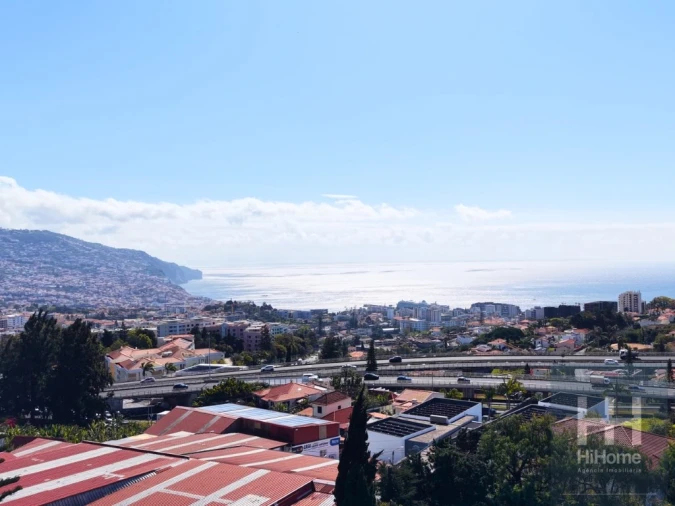 Terreno para Venda em São Martinho Foto 9