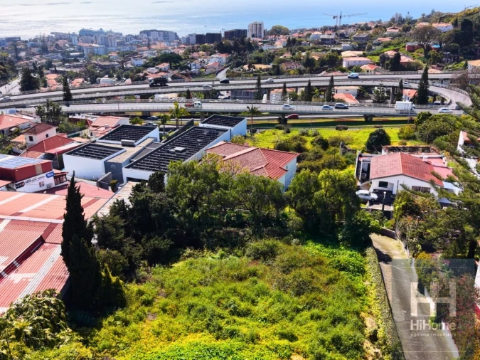 Terreno para Venda em São Martinho Foto 10