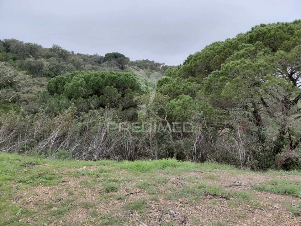 Terreno para Venda em São Francisco da Serra Foto 4